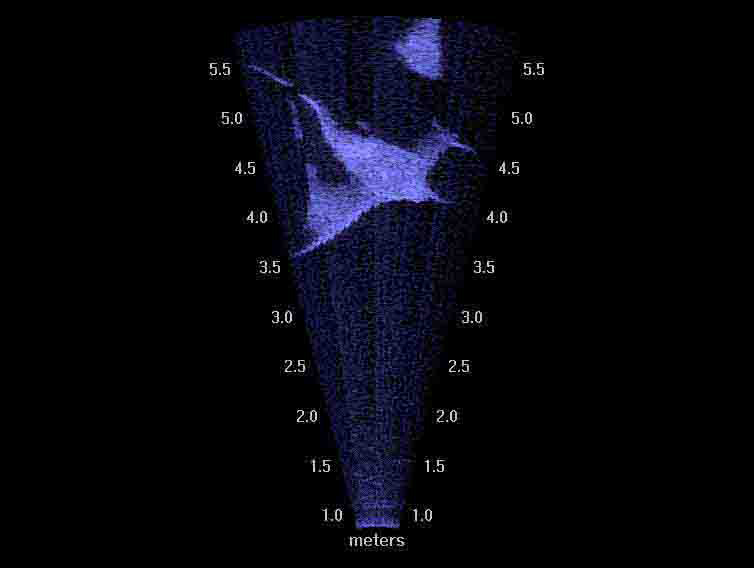 A shot of a manta ray from the sonar camera (Credit: Douglas McCauley)