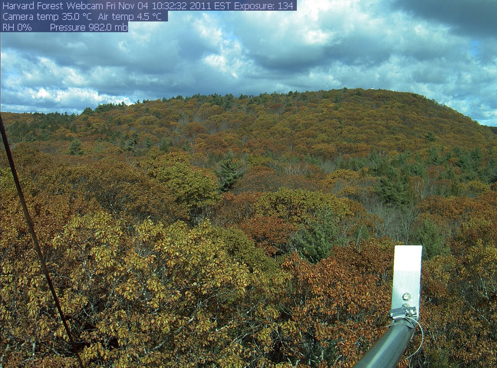 The Harvard Forest network site in November, 2011 (Credit: PhenoCam)
