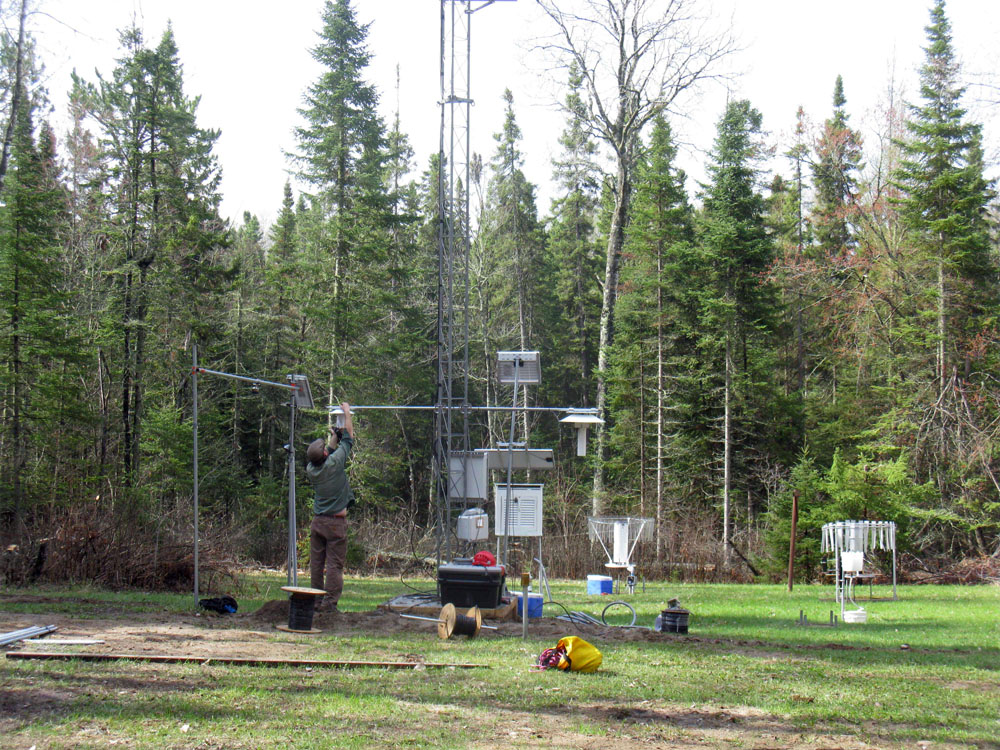 A Smart Forest sensor station at Marcell Experimental Forest in Minnesota (Credit: Ian Halm, U.S. Forest Service)