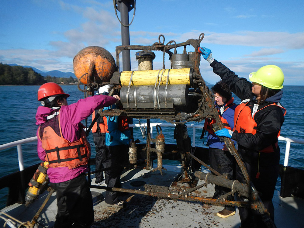 Students cleaning the long-term tripod, which has been deployed almost continuously for three years and is cleaned and downloaded approximately every 4 months. (Credit: Emily Eidam)