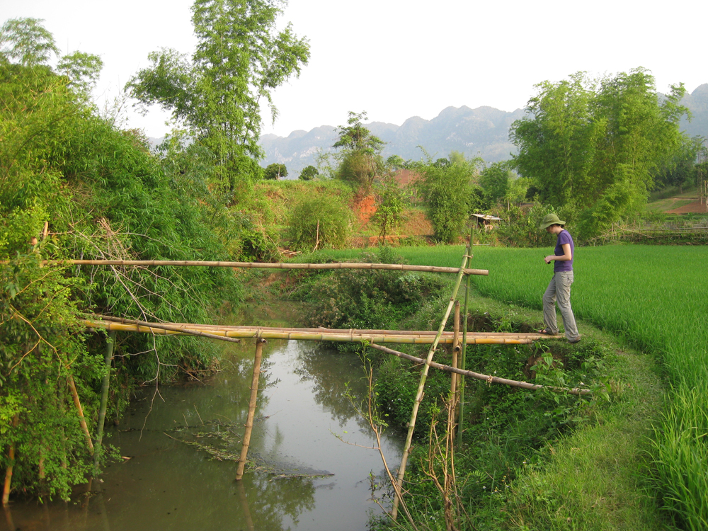 Sampling from  bamboo bridge (Credit: Johanna Slaets)