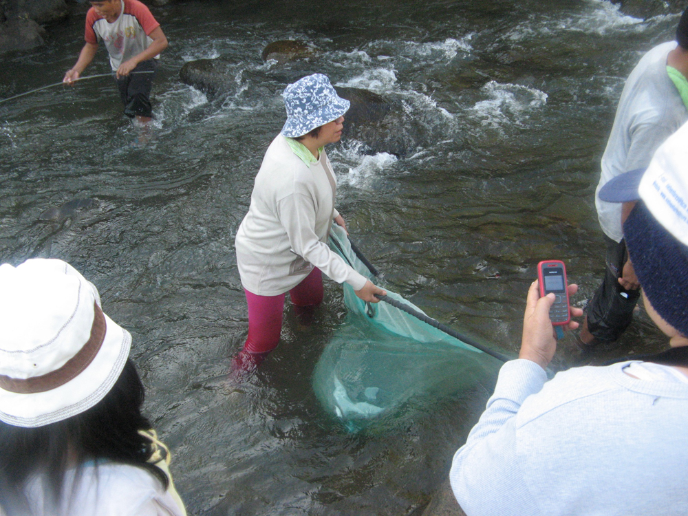 Putting the kick nets to work on the Cagayan de Oro River