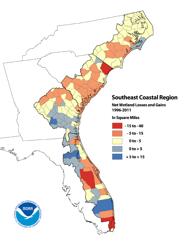 Wetland gains and losses in the Southeast coastal region (Credit: NOAA)