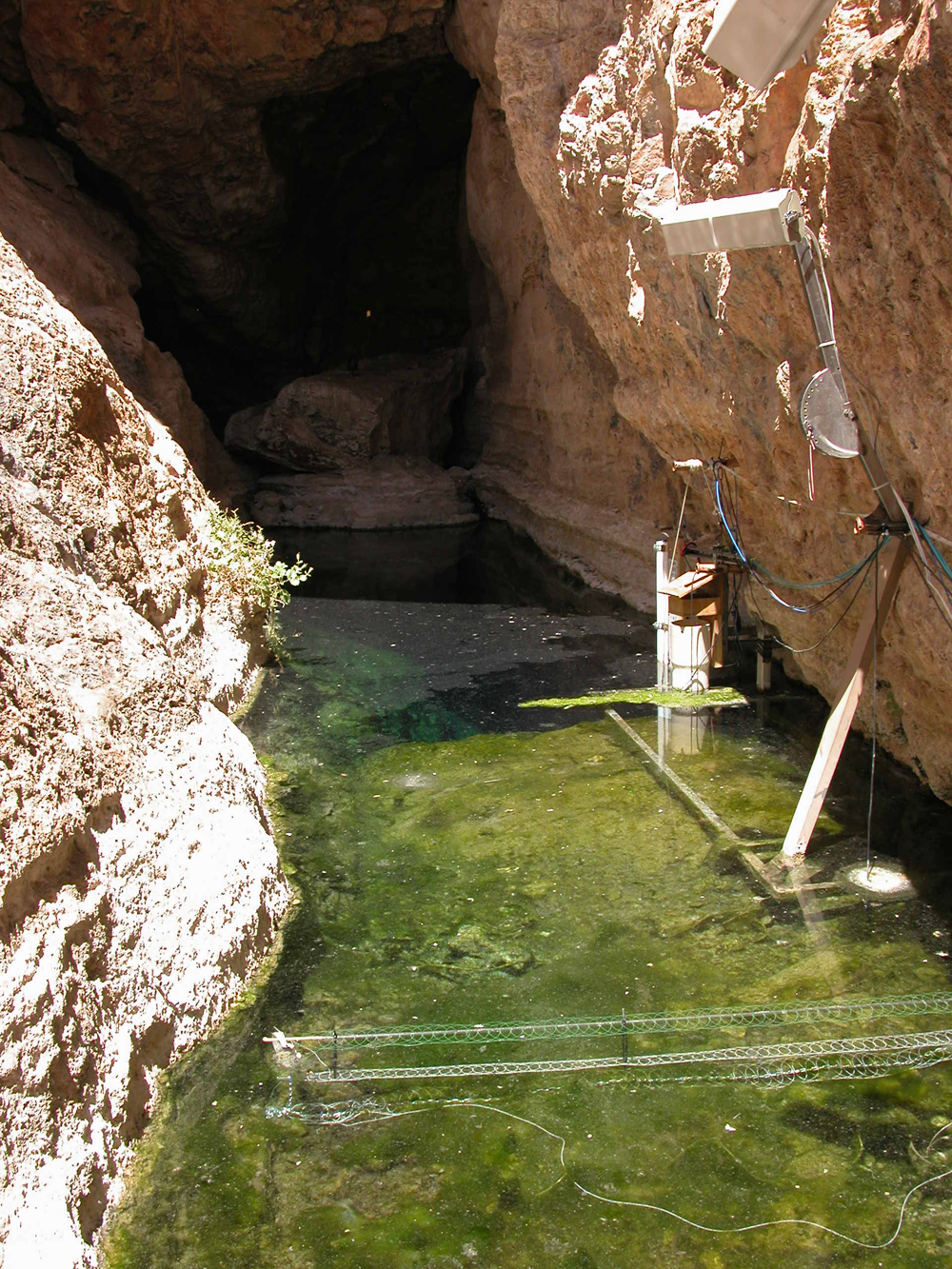 The shallow shelf of Devils Hole with a distributed temperature sensor. The shallow shelf is used daily by the pupfish for spawning and foraging. (Credit: Mark Hausner)