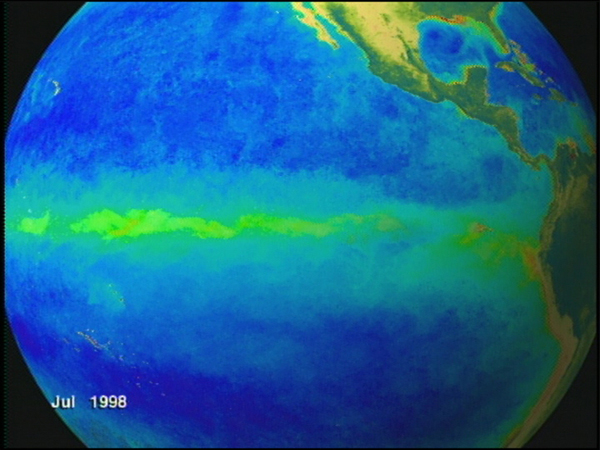 Satellite imagery of ocean chlorophyll concentrations, including a region of equatorial upwelling (Credit: NASA)