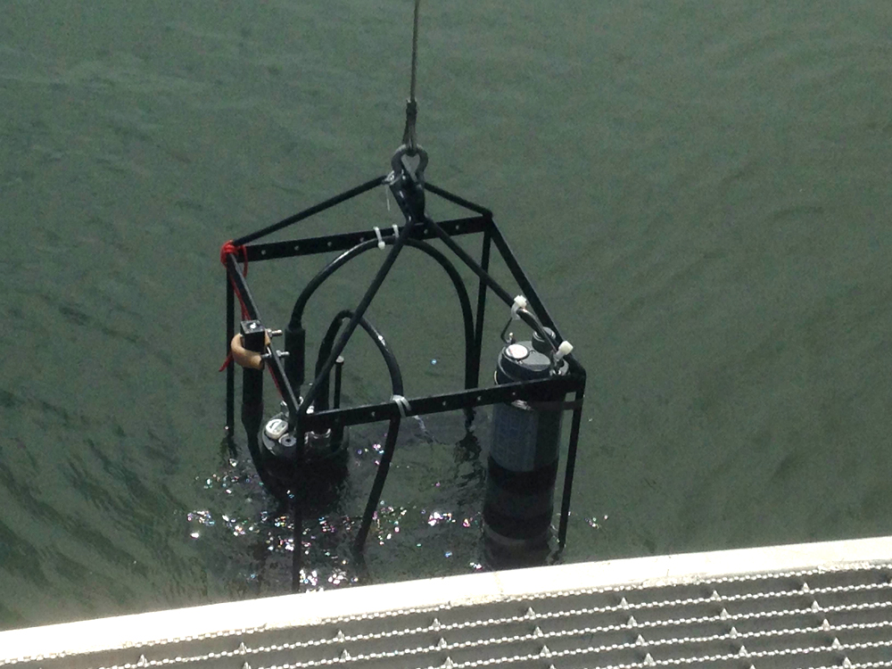The YSI sonde and HydroRad mounted to a cage being lowered into the water (Credit: Heather Cronin)