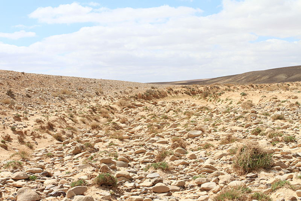 Intermittently dry channels, like this one in Jordan, have simple, symmetrical structure. (Credit: AinAnepaio, via Wikimedia Commons/CC BY-SA 3.0)