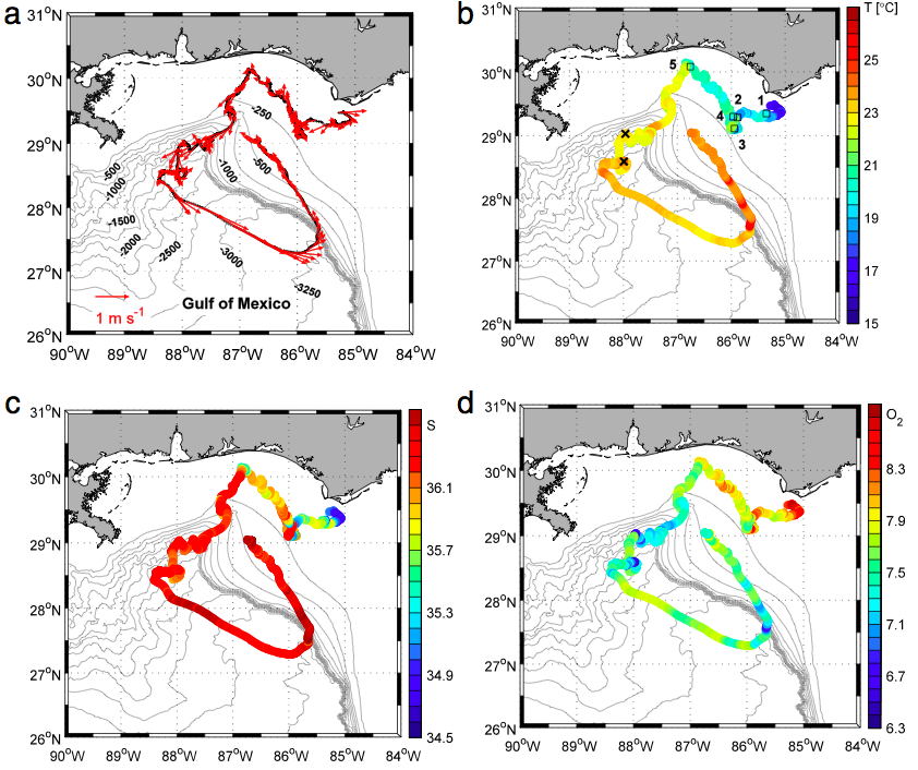 The SailBuoy's path through the Gulf with (a) velocity vectors , (b) temperature , (c) salinity and (d) oxygen concentration. (Credit: M.H. Ghani et al./CC BY-NC-ND)