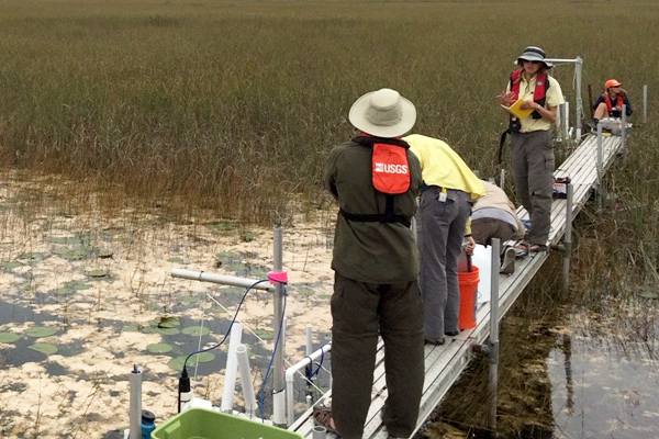 florida everglades / USGS and SFWMD scientists measuring water velocity and suspended sediment concentration downstream of flow release on a raised platform that spans from a deepwater slough (foreground) into a sawgrass ridge. (Credit: USGS)