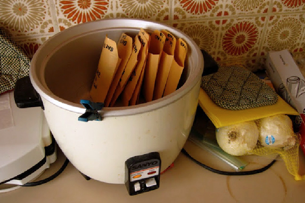 The researchers used a rice cooker to dry seagrass samples in the field. (Caption: Laura Govers)