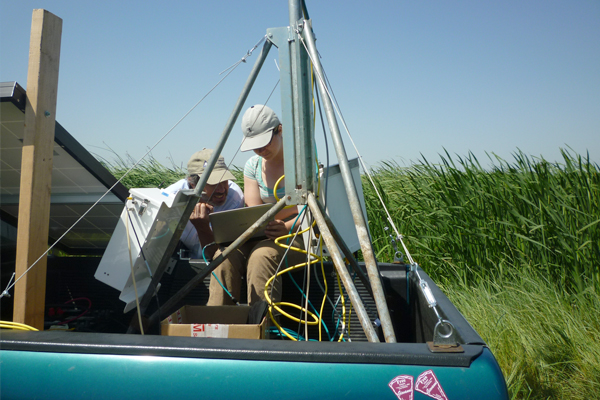 Researchers program an eddy flux tower at the wetland in summer 2012. (Credit: Jaclyn Matthes)