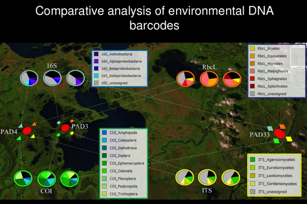 Comparitive analysis of environmental DNA barcodes. (Credit: Ontario Genomics Institute)