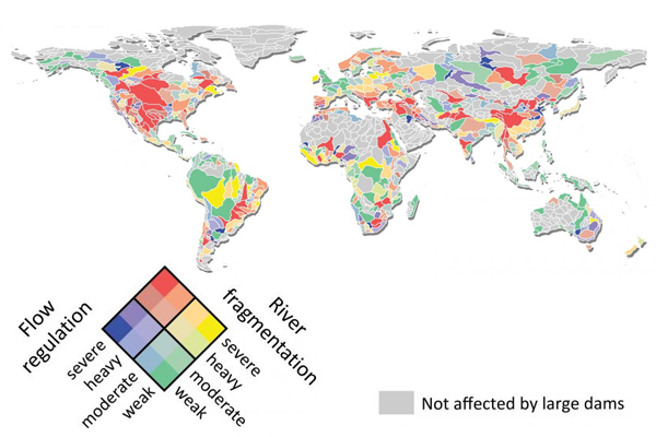 Map showing the effects of dams on the rivers around the world. (Credit: McGill University)