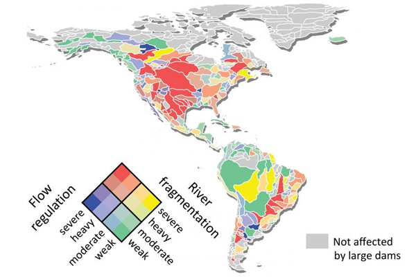 Map showing the effects of dams on the western hemisphere. (Credit: McGill University)