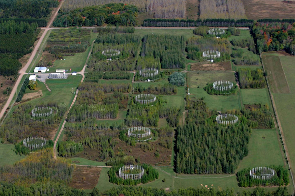 An aerial view of the former Aspen Free-Air Carbon dioxide and ozone Enrichment (Aspen FACE) experiment site. (Courtesy John Couture, UW-Madison)