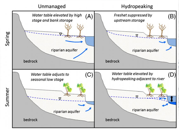 hydropeaking_diagram