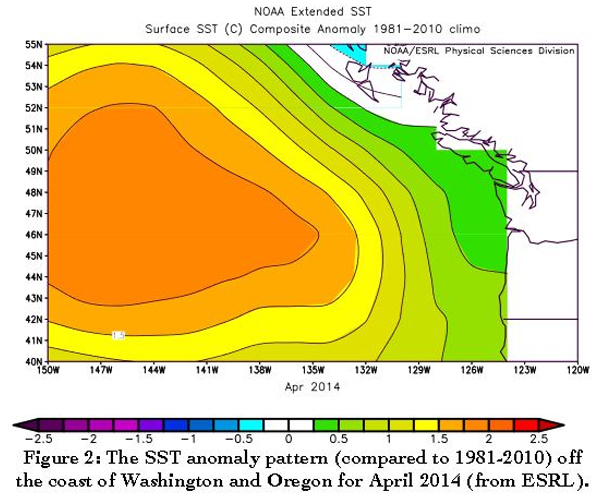 A glimpse of the blob in April 2014, published in the July 2014 newsletter in which Bond coined its name. (Credit: NOAA)
