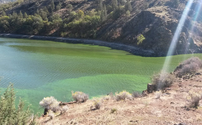 The researchers found that changes to downstream algae strains corresponded to those occurring in the Iron Gate Reservoir blooms. (Credit: Theo Dreher). 