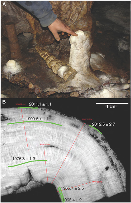 (Top) The stalagmite in Mawmluh Cave before it was collected. (Bottom) A cross section of the stalagmite showing its layers. (Credit: Jessica Oster)