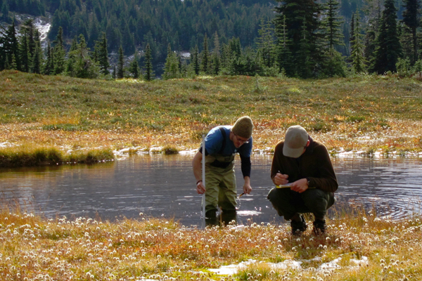 Noll Steinweg and Reed McIntyre, undergraduate field research assistants at Western Washington University, collect water level data at a mountain wetland site. (Credit: Maureen Ryan / University of Washington)