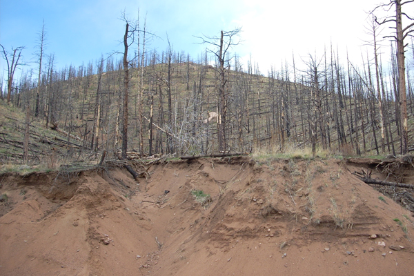 Land subsidence following the 2002 Hayman Fire near Denver, Colorado. (Credit: Mary Miller, Michigan Tech Research Institute)
