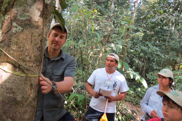Kenneth Feeley demonstrates how to measure the size and growth rates of trees to science teachers from rural high schools in Madre de Dios, Peru. (Credit: Therany Gonzales)
