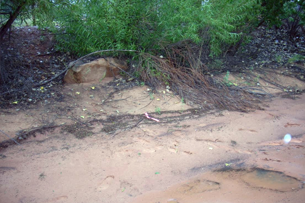 Example of a high water mark flagged by USGS hydrographers after the flood on Short Creek near Hildale, Utah. (Credit: Brad Slaugh / USGS)