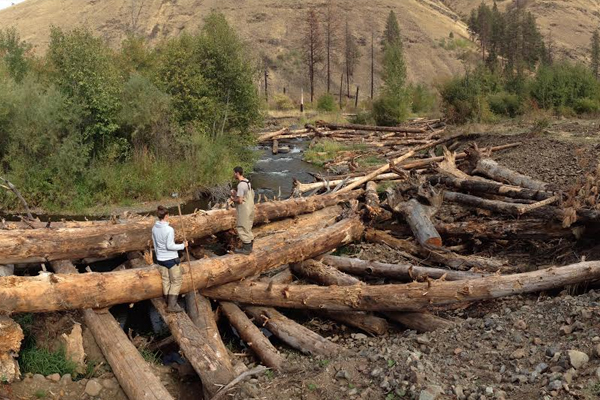 Restored log jams on the Tucannon River, Washington. (Credit: Alexander Fremier)