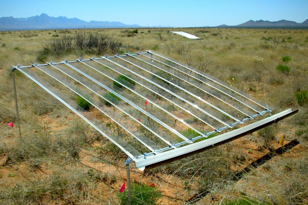 The researchers created 50 study plots in the Chihuahuan desert in New Mexico, at the Jornada Long Term Ecological Research site. (Credit: Osvaldo Sala / Arizona State University)
