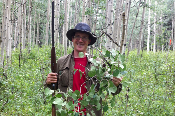 Leander Anderegg used a shotgun to collect branches from trees like the trembling aspen. (Credit: Leander Anderegg / University of Washington)