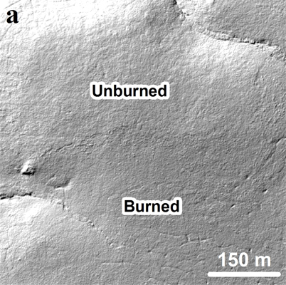 Ice wedge degradation following the Anaktuvuk River tundra fire. (a) Hillshade derived from the 2009 LiDAR digital terrain model. (Credit: Benjamin Jones / U.S. Geological Survey)