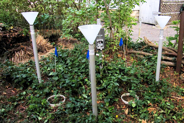 An urban research site outfitted for carbon and nitrogen measurements. Visible in the picture are three columns to measure nitrogen deposition, two soil respiration collars, and an Onset HOBO datalogger attached to a soil moisture probe. The blue flags denote where incubating soil samples in breathable polyethylene bags are buried for analysis of net nitrogen mineralization. (Credit: Steve Decina)