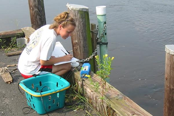 A field biologist with the Maryland Department of Natural Resources records measurements of water quality parameters. (Credit: Brian Smith / Maryland Department of Natural Resources)