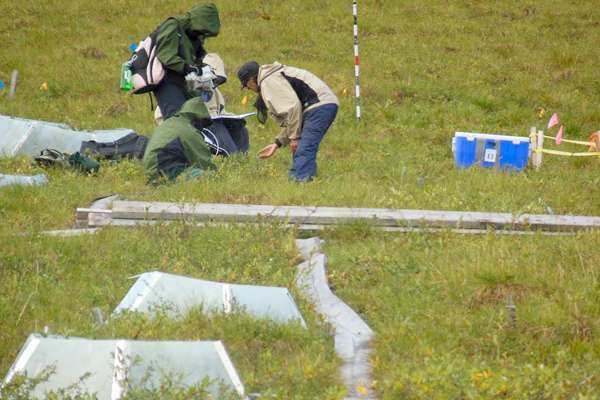 The research team takes methane and vegetation samples from the 50 percent-increased snow experimental tundra sites. (Credit: Miquel Gonzalez-Meler)