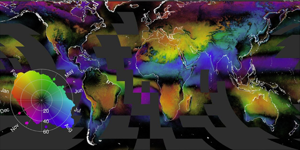 Fine-grain spatio-temporal cloud dynamics visualized with a metric of seasonal concentration, which combines the magnitude and timing of monthly fluctuations in cloud frequency derived from 15 years of twice-daily satellite observations. It illustrates the often remarkably sharp transitions between many of the world’s terrestrial ecosystems. The hue indicates the month of peak cloudiness, while the saturation and value indicate the magnitude of the concentration ranging from 0 (black, all months are equally cloudy) to 100 (all clouds are observed in a single month). Coastlines shown in white, marine areas with no data are dark grey. (Credit: Adam Wilson / University at Buffalo)