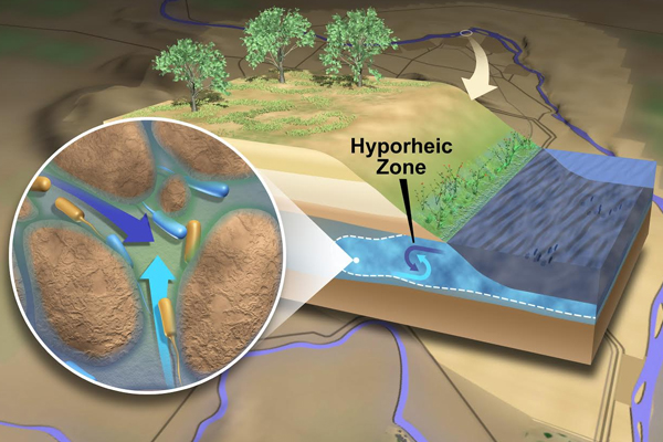 Scientists call the area along a river where river water and groundwater mix the hyporheic zone. The circular inset illustrates some of the features of this zone, including tiny grains of sediment, water from both sources mixing, and the microbes that actively ply these waters and sediments. (Courtesy: Pacific Northwest National Laboratory)
