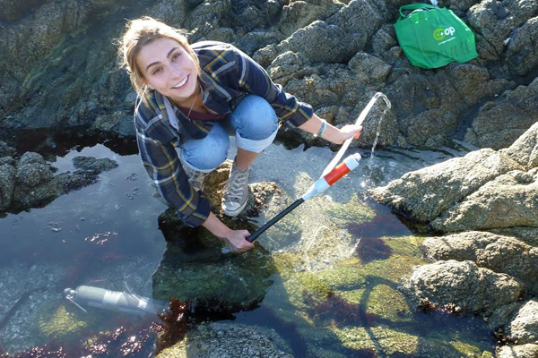 Study co-author Yana Nebuchina preparing to sample from a tide pool on the Bodega Marine Reserve. (Credit: Ken Caldeira / Carnegie Institution for Science)