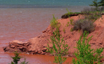 Managing Soil Erosion Important Around Construction Sites