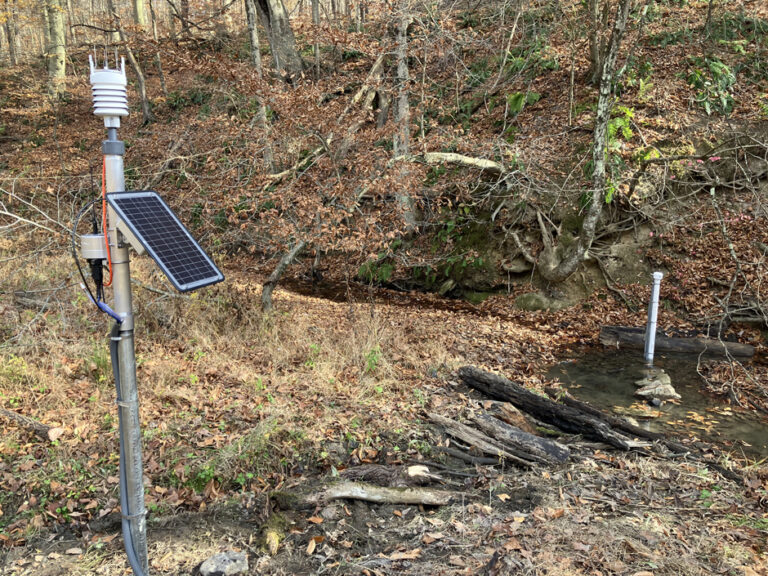 Connecting with Nature in Real-Time at the Abernathy Field Station
