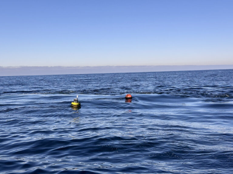 Catching Waves: Comparing Buoys to Deliver Trusted Ocean Data at PacWave