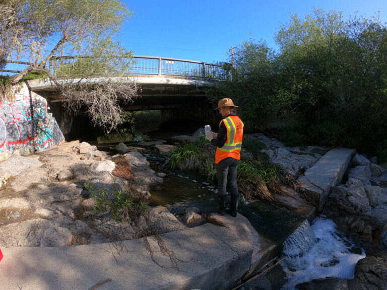 From Source to Sea: Monitoring and Protecting Santa Barbara’s Hidden Creeks