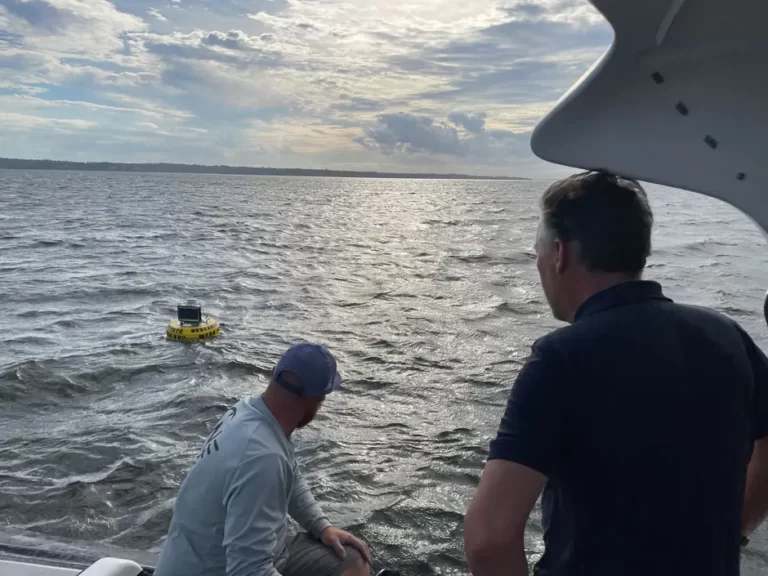 Harnessing Fluttering Foils: Vortex-Induced Vibration Energy from Lab to Sea