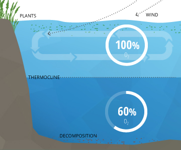 Dissolved Oxygen Chart For Water