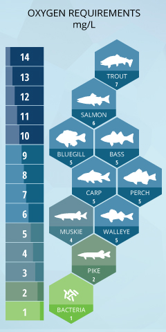 Minimum dissolved oxygen requirements of freshwater fish