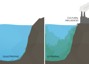 Eutrophication is caused by an increase in nutrient levels. This can lead to an algal bloom and can cause low levels of dissolved oxygen.