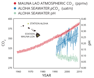 ph_of_water_ocean-acidification