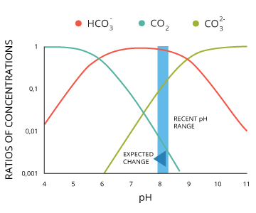 pH_ocean-carbonates