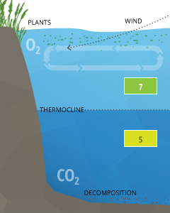 ph_stratification