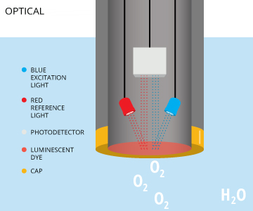 Dissolved Oxygen Color Chart