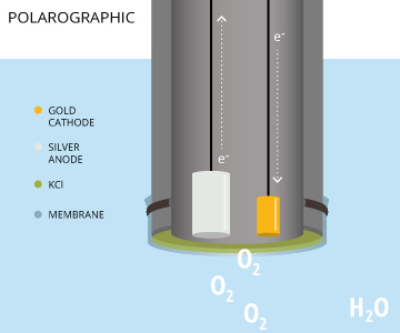 polarographic_dissolved_oxygen_sensor